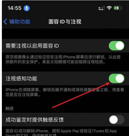 邹城苹果14维修网点分享iPhone14注视感知功能有什么用 